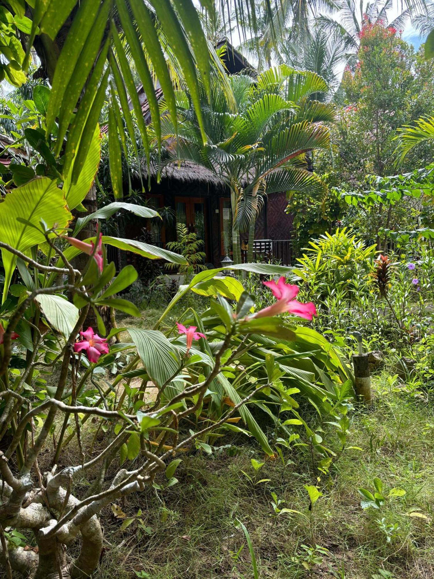 Kubu Artha Bungalow Nusa Penida Ped Екстер'єр фото